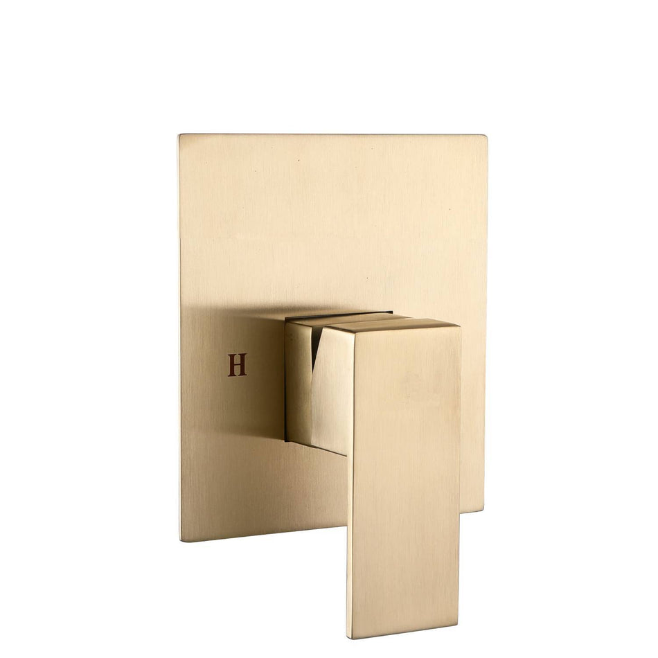 single way rough in valve with trim