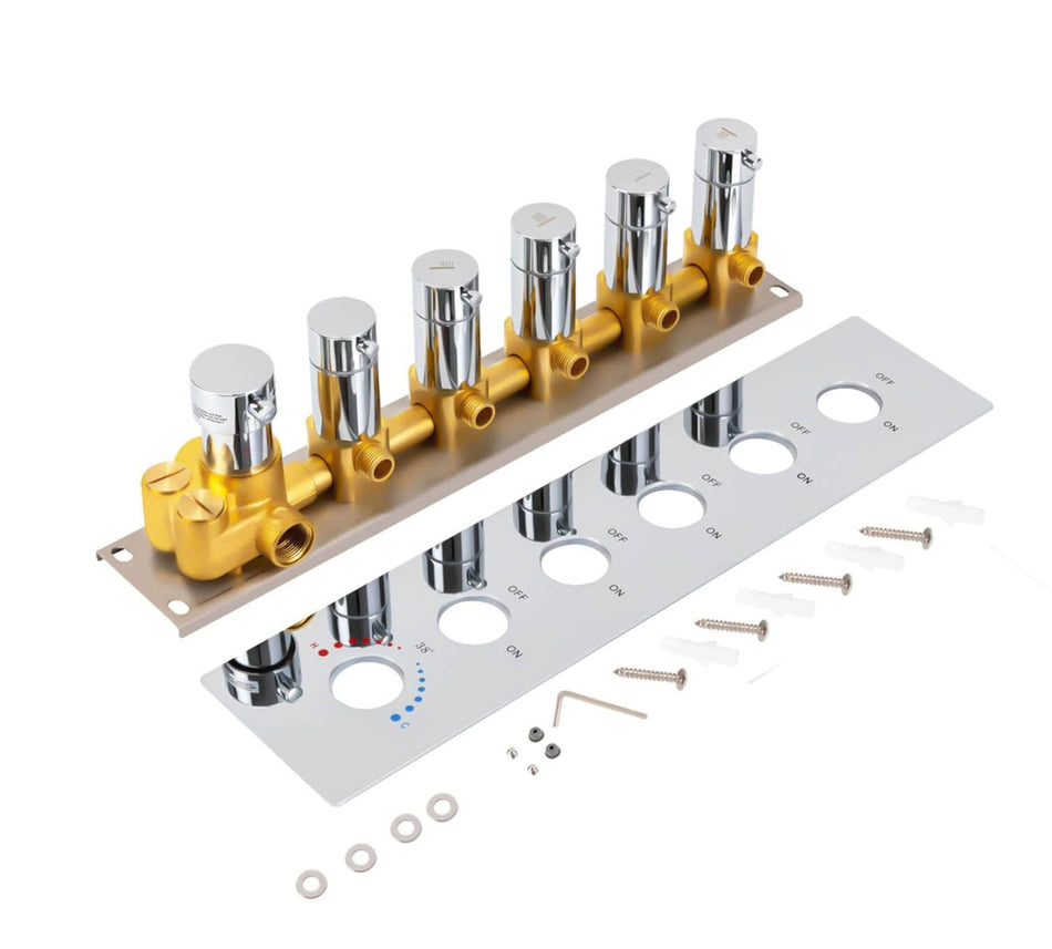 5 way thermostatic  rough in valve with trim