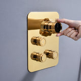 Chrome or rose gold or brushed nickel 3-Way Thermostatic valve with trim and each function work at the same time and seperately