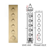 5 way thermostatic  rough in valve with trim