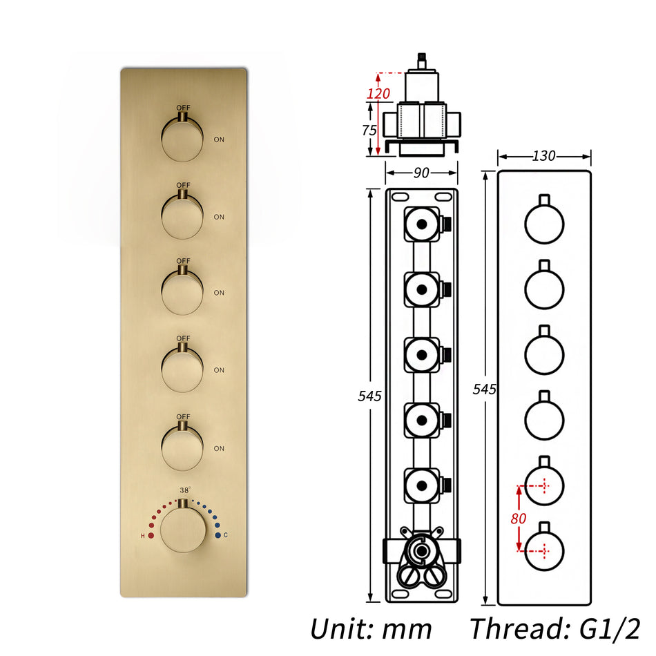 5 way thermostatic  rough in valve with trim