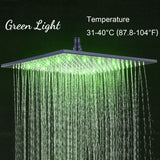 12inch or 16inch brass LED MATTE black rainfall shower head - wonderland shower inc
